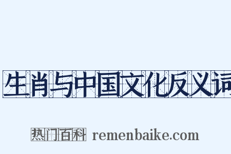 生肖与中国文化反义词是什么意思的图片